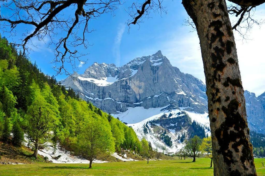Alpenfreund Apartment มิทเทนวัลด์ ภายนอก รูปภาพ