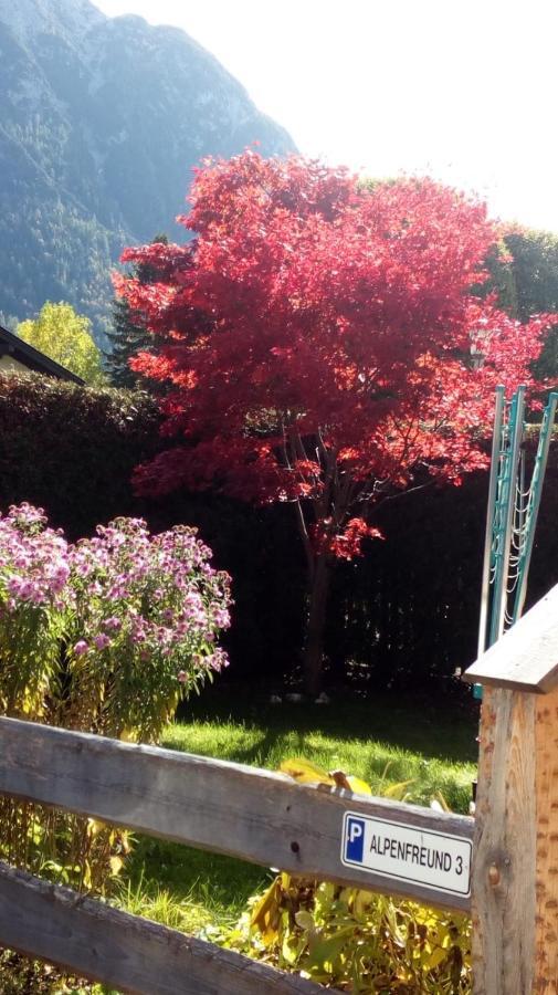 Alpenfreund Apartment มิทเทนวัลด์ ภายนอก รูปภาพ